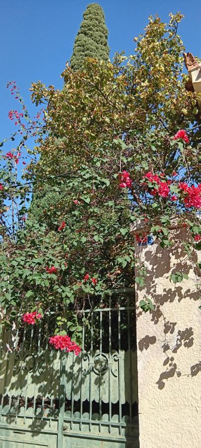 Athenian Asty Guesthouse 外观 照片