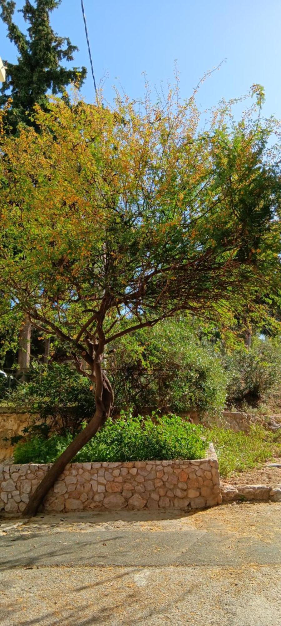 Athenian Asty Guesthouse 外观 照片